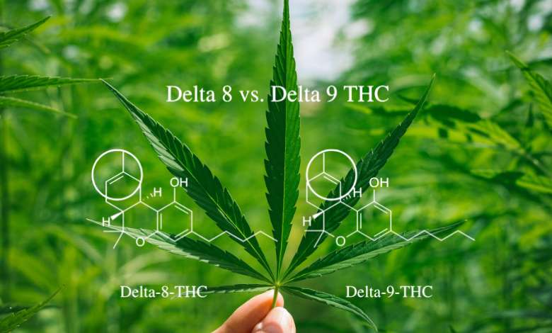 What Is The Difference Between Delta 8 THC and Delta 9 THC
