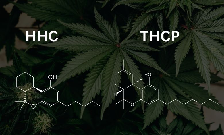 what is the difference between hhc and thcp